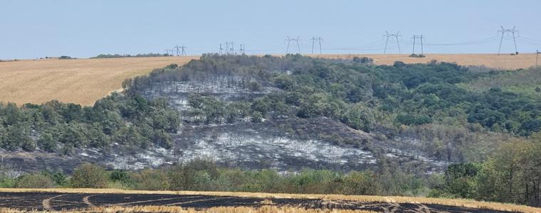 СИДП: Най-много пожари през 2025 г. са регистрирани в ДЛС-Балчик