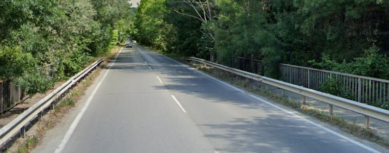 Временно отстраняване на крайпътни дървета по пътя между Албена и Кранево