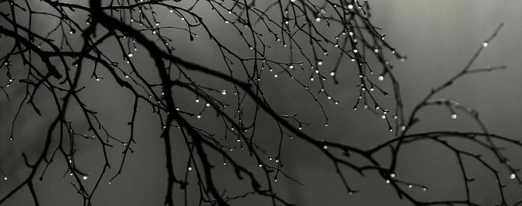 Времето на 24 януари