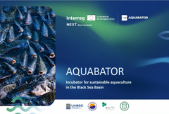 AQUABATOR: Нов международен проект модернизира аквакултурите в Черноморския басейн