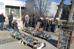 Борса за семена и посадъчен материал в Добрич от 4 до 7 февруари