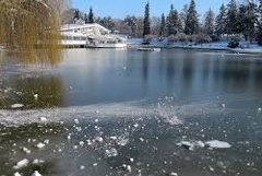 Прогноза за 11 януари