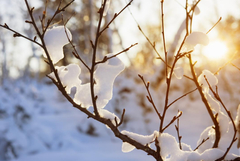 Променливо време в съботния ден.От 3 градуса над нулата до минус 8 утре