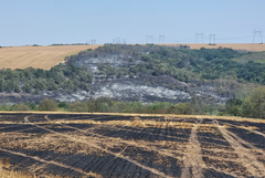 СИДП: Най-много пожари през 2025 г. са регистрорани в ДЛС-Балчик