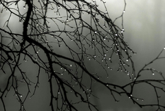 Времето на 24 януари