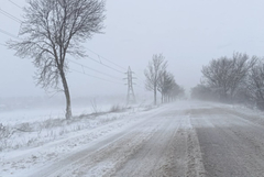 Всички републикански пътища в област Добрич са отворени за движение