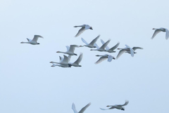 Затоплянето ще продължи и в понеделник