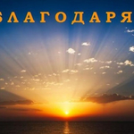 11 януари – Международен ден на думата „Благодаря!“