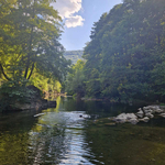  Европа губи последните си диви реки – и това се случва на Балканите