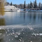 Прогноза за 11 януари