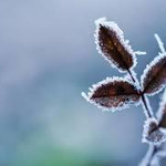 Прогноза за времето 2 януари