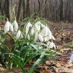 Прогноза за времето в неделя, 25 януари