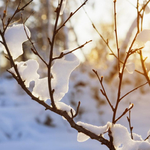 Променливо време в съботния ден.От 3 градуса над нулата до минус 8 утре