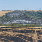 СИДП: Най-много пожари през 2025 г. са регистрорани в ДЛС-Балчик