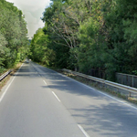 Временно отстраняване на крайпътни дървета по пътя между Албена и Кранево