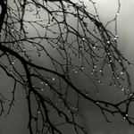 Времето на 24 януари