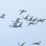 Затоплянето ще продължи и в понеделник