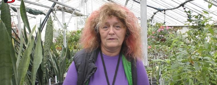 Ботаническата градина отваря работните си оранжерии за посетители (ВИДЕО)