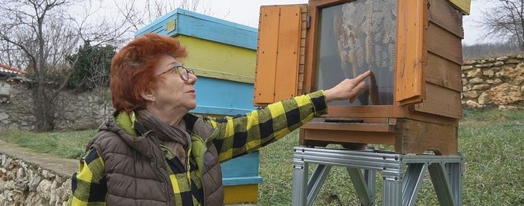 Недялка Михова: Днес пчеларите празнуват, но с тревога (ВИДЕО)