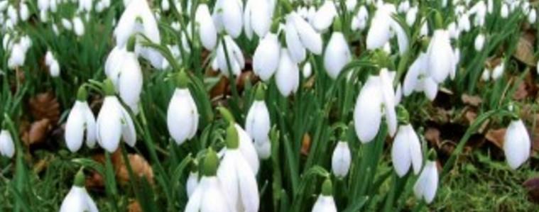 Прогноза за 15 февруари