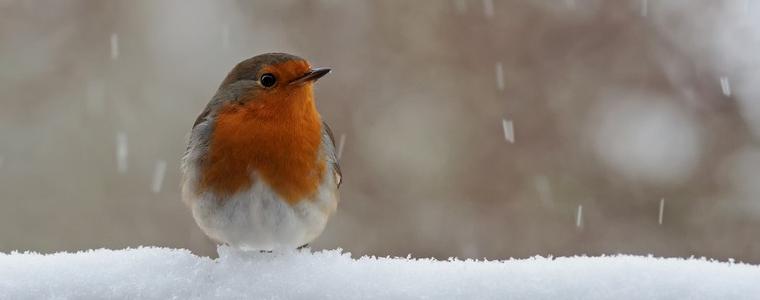 Прогноза за времето в събота, 21 февруари