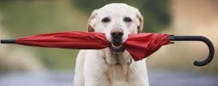 Прогноза за времето във вторник, 17 февруари