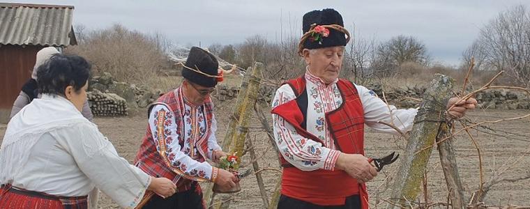 С избор на най-добър лозар посрещат Трифон Зарезан в Община Добричка