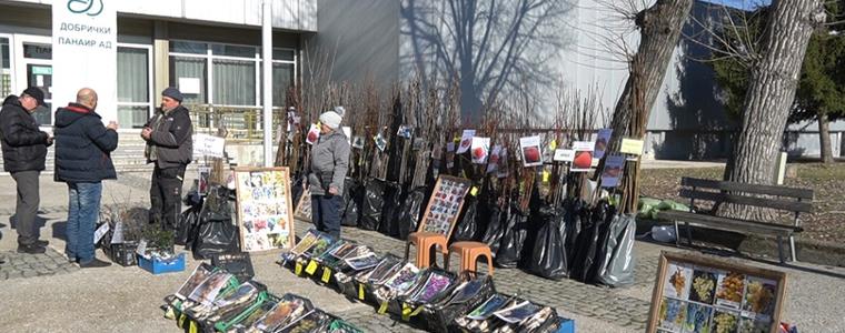 В Добрич започва Борсата за семена и посадъчен материал 
