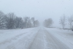 48 машини работят по опесъчаване и почистване на републиканската пътна мрежа