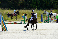 Двадесетина коня се очаква да се включат в надпреварата на Тодоровден в Малка Смолница 