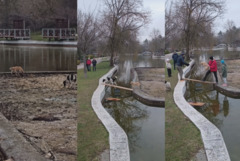 Граждани спасиха две бездомни кучета в парк „Св. Георги" (ВИДЕО)