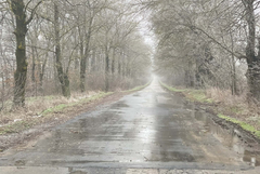 ОПУ-Добрич: Има заледени участъци, шофирайте внимателно!