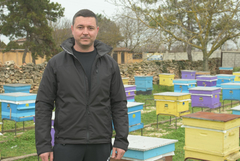 Пчелар от Българево: Заплаха за пчелите са пестицидите и климатичните промени, не вятърните турбини (ВИДЕО)