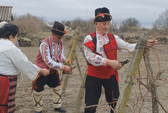 Посрещат Трифон Зарезан в Община Добричка