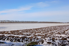 Прогноза за времето в понеделник, 9 февруари