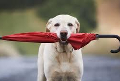 Прогноза за времето във вторник, 17 февруари