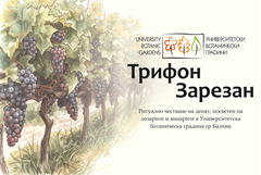 Ритуално зарязване на лозите и дегустация на вина в Ботаническата градина в Балчик за Трифон Зарезан