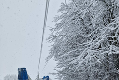 Снеговалежи и ураганен вятър предизвикаха аварии по електромрежата в Североизточна България