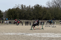Соня Георгиева: Малка Смолница се утвърждава като средище на конния спорт (СНИМКИ)