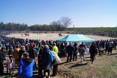 Тодоровден е! Община Добричка кани на празник в Малка Смолница