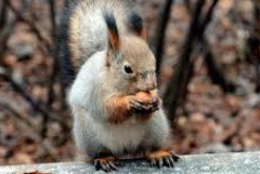 Времето в понеделник, 16 февруари