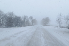Заледен, но проходим е пътят за к.к. Албена