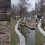 Граждани спасиха две бездомни кучета в парк „Св. Георги" (ВИДЕО)