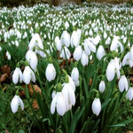 Прогноза за 15 февруари