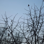 Прогноза за времето в четвъртък, 19 февруари