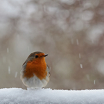 Прогноза за времето в събота, 21 февруари