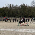 Соня Георгиева: Малка Смолница се утвърждава като средище на конния спорт (СНИМКИ)