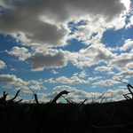 Времето на 4 февруари