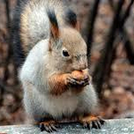 Времето в понеделник, 16 февруари