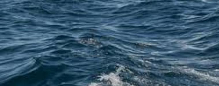 Басейнова дирекция - Варна е възложила изследване на водни проби от Шабленското езеро